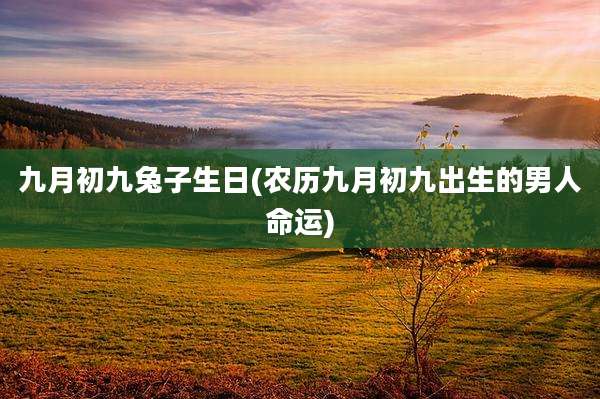 九月初九兔子生日(农历九月初九出生的男人命运)
