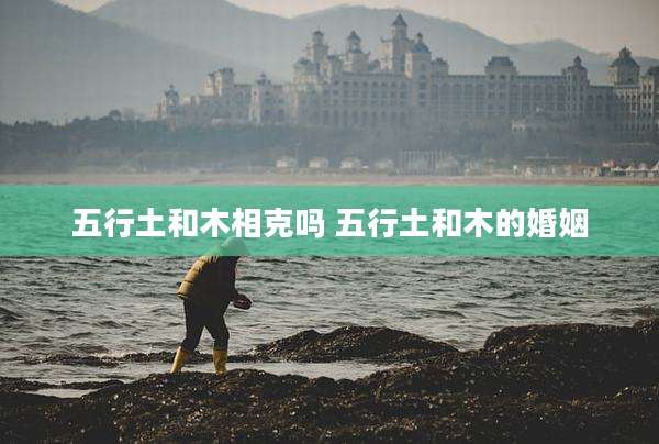 五行土和木相克吗 五行土和木的婚姻