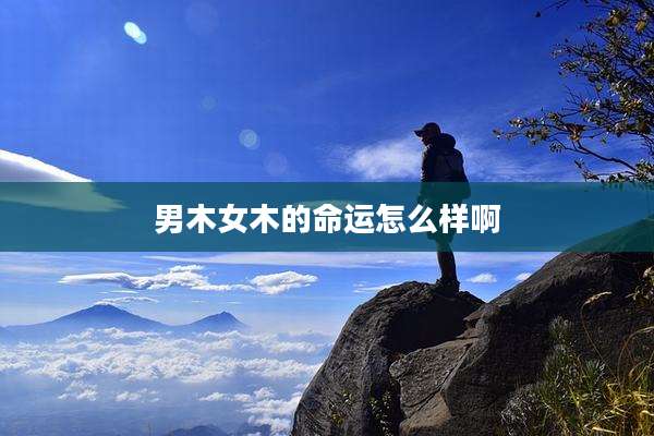男木女木的命运怎么样啊