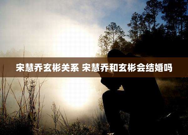宋慧乔玄彬关系 宋慧乔和玄彬会结婚吗