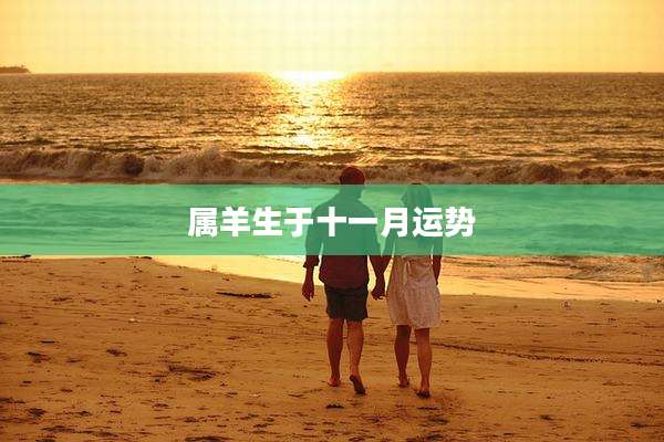 属羊生于十一月运势