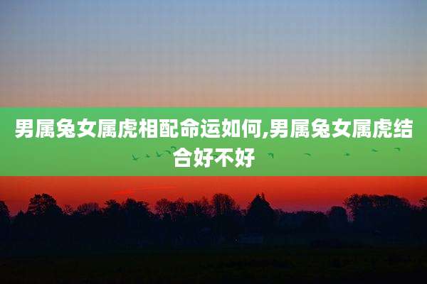 男属兔女属虎相配命运如何,男属兔女属虎结合好不好