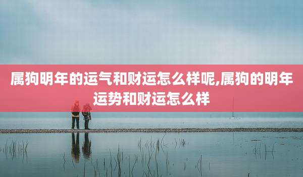 属狗明年的运气和财运怎么样呢,属狗的明年运势和财运怎么样