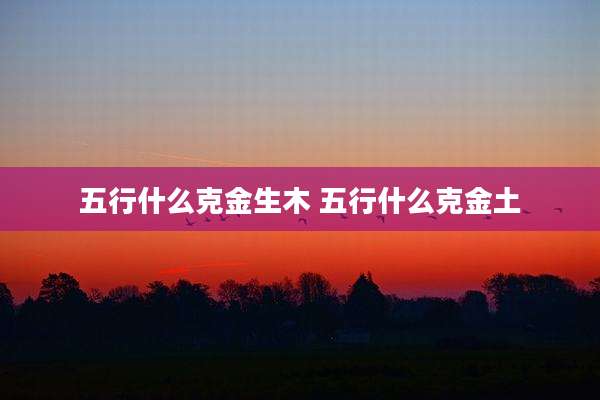 五行什么克金生木 五行什么克金土