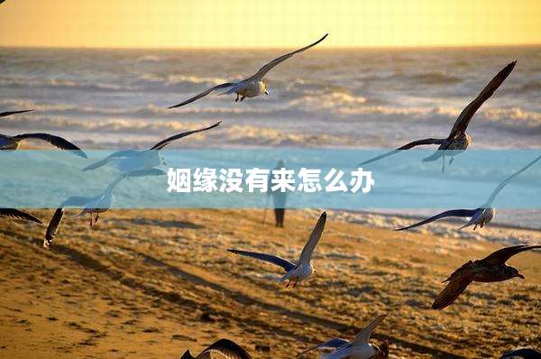 姻缘没有来怎么办