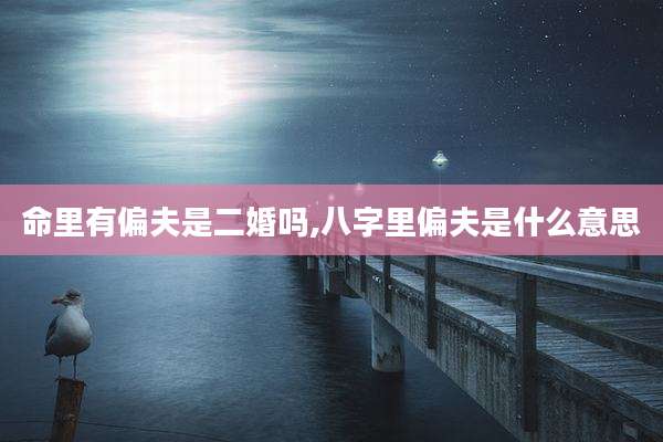 命里有偏夫是二婚吗,八字里偏夫是什么意思