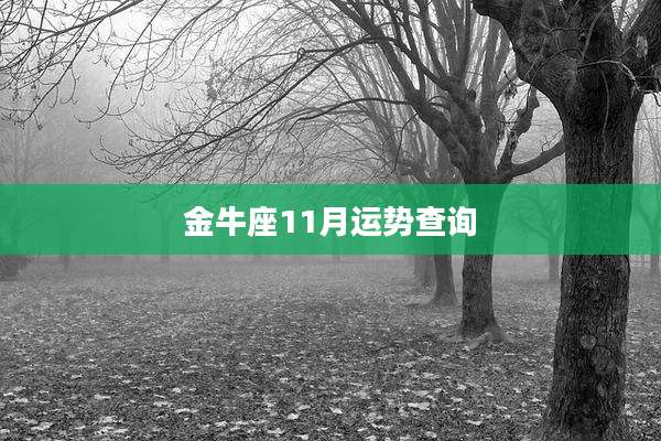 金牛座11月运势查询
