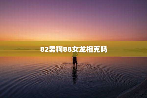 82男狗88女龙相克吗