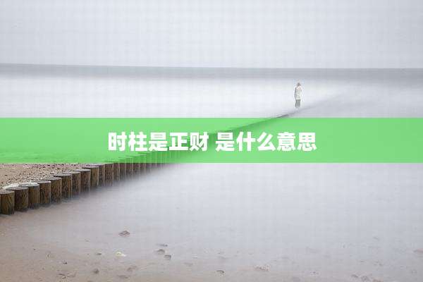 时柱是正财 是什么意思