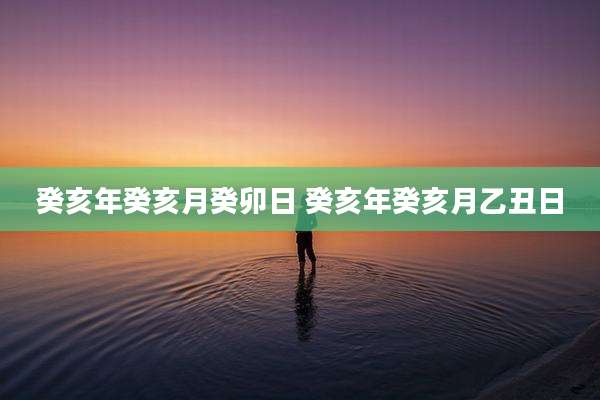 癸亥年癸亥月癸卯日 癸亥年癸亥月乙丑日