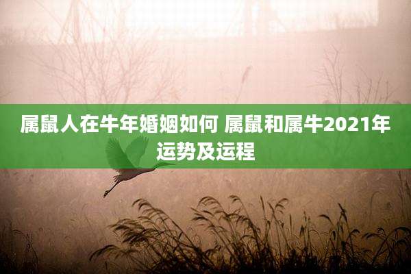 属鼠人在牛年婚姻如何 属鼠和属牛2021年运势及运程
