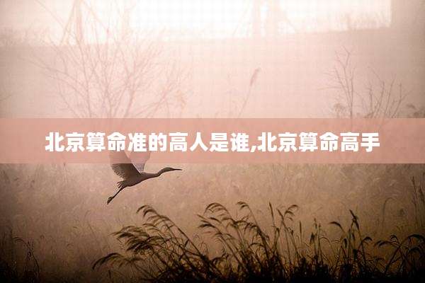 北京算命准的高人是谁,北京算命高手