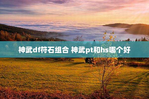 神武df符石组合 神武pt和hs哪个好