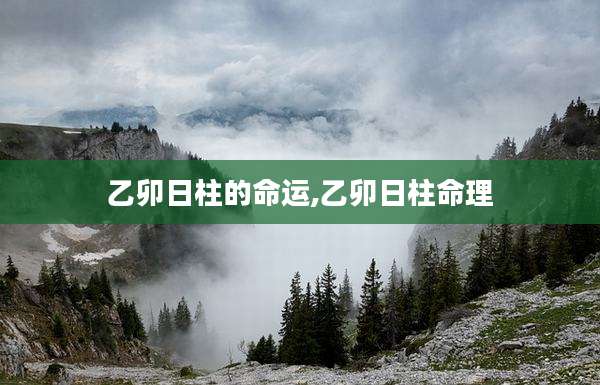 乙卯日柱的命运,乙卯日柱命理