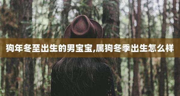 狗年冬至出生的男宝宝,属狗冬季出生怎么样