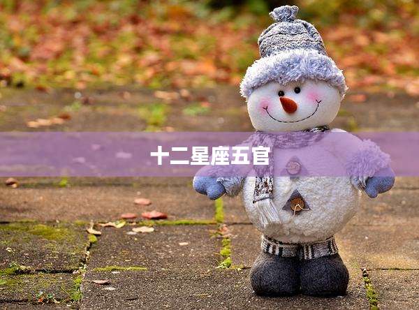 十二星座五官