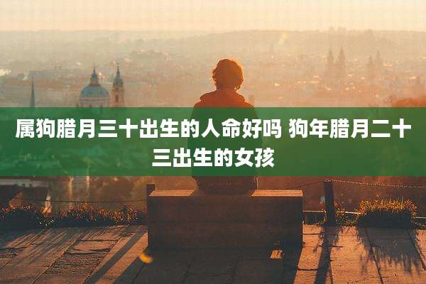 属狗腊月三十出生的人命好吗 狗年腊月二十三出生的女孩