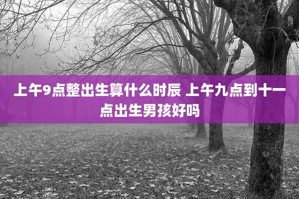 上午9点整出生算什么时辰 上午九点到十一点出生男孩好吗