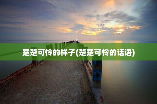 楚楚可怜的样子(楚楚可怜的话语)