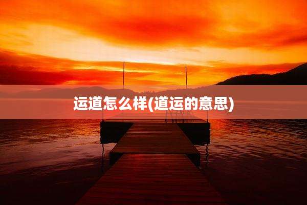 运道怎么样(道运的意思)