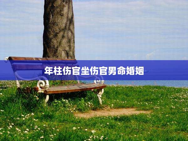 年柱伤官坐伤官男命婚姻