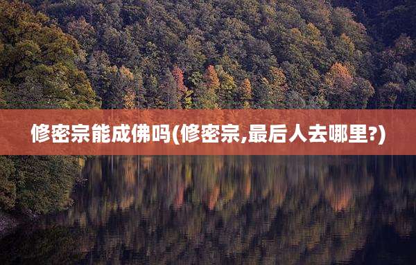 修密宗能成佛吗(修密宗,最后人去哪里?)