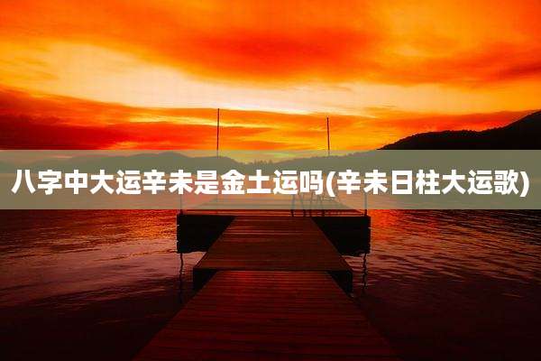 八字中大运辛未是金土运吗(辛未日柱大运歌)