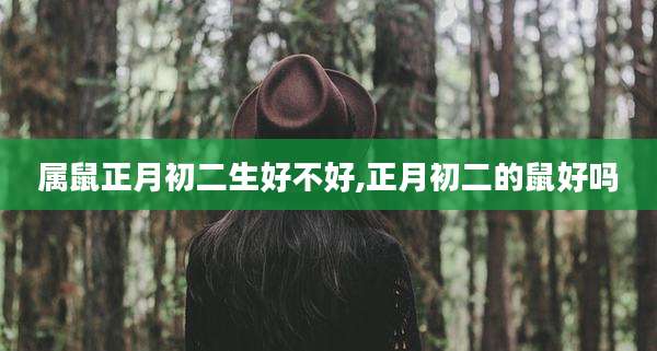 属鼠正月初二生好不好,正月初二的鼠好吗