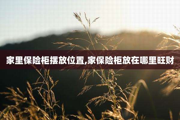 家里保险柜摆放位置,家保险柜放在哪里旺财
