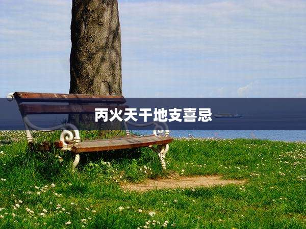丙火天干地支喜忌