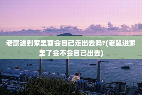 老鼠进到家里面会自己走出去吗?(老鼠进家里了会不会自己出去)