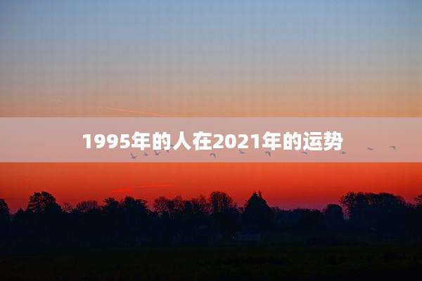 1995年的人在2021年的运势