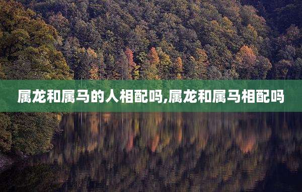 属龙和属马的人相配吗,属龙和属马相配吗
