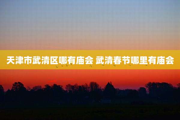 天津市武清区哪有庙会 武清春节哪里有庙会