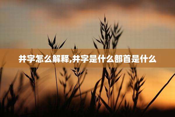 并字怎么解释,并字是什么部首是什么