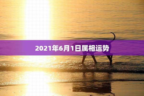 2021年6月1日属相运势