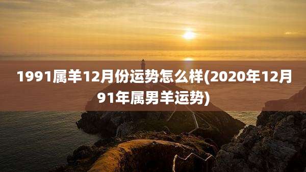 1991属羊12月份运势怎么样(2020年12月91年属男羊运势)