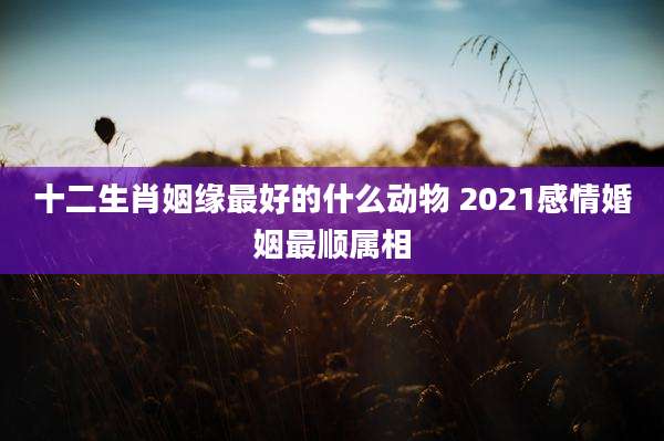 十二生肖姻缘最好的什么动物 2021感情婚姻最顺属相