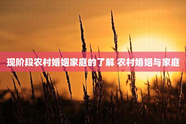 现阶段农村婚姻家庭的了解 农村婚姻与家庭