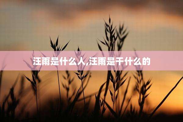 汪雨是什么人,汪雨是干什么的