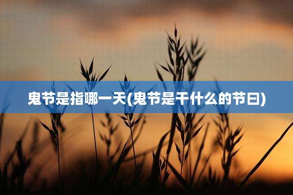鬼节是指哪一天(鬼节是干什么的节曰)