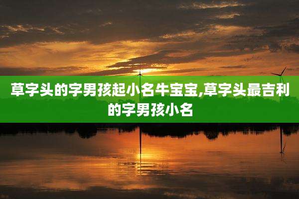 草字头的字男孩起小名牛宝宝,草字头最吉利的字男孩小名
