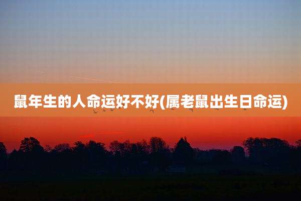 鼠年生的人命运好不好(属老鼠出生日命运)