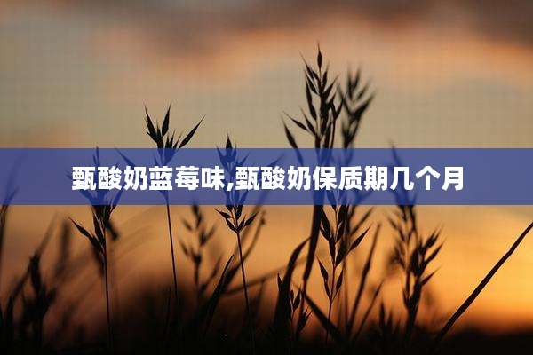 甄酸奶蓝莓味,甄酸奶保质期几个月