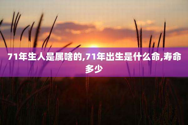 71年生人是属啥的,71年出生是什么命,寿命多少