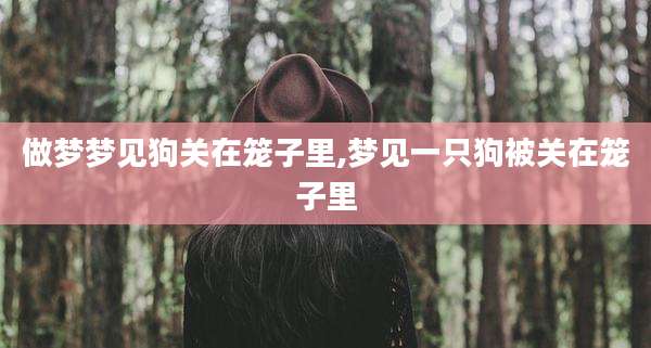 做梦梦见狗关在笼子里,梦见一只狗被关在笼子里