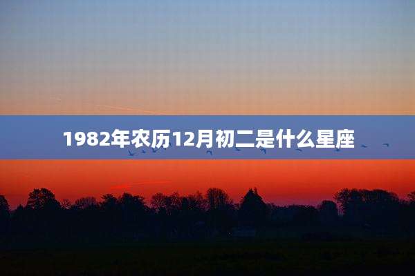 1982年农历12月初二是什么星座