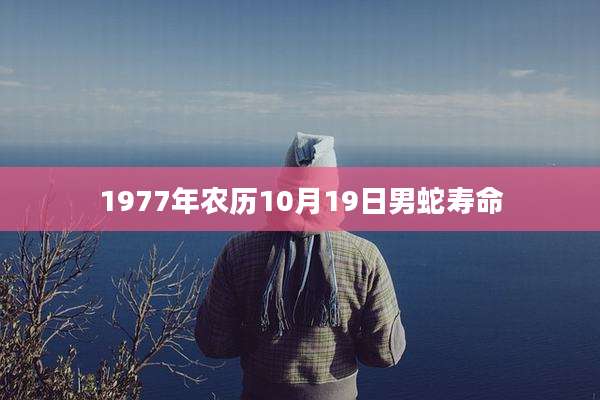 1977年农历10月19日男蛇寿命