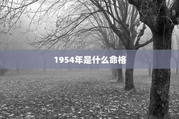 1954年是什么命格