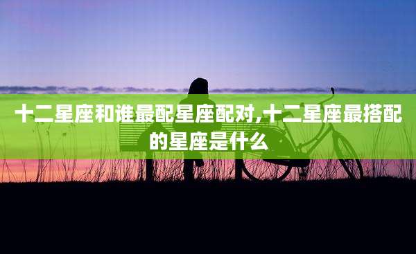 十二星座和谁最配星座配对,十二星座最搭配的星座是什么